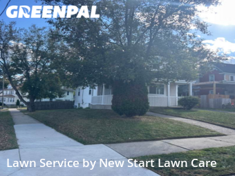 Lawn Cut nearby Pontiac, MI, 