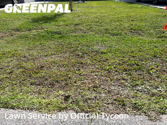 Lawn Care Service nearby Palm Coast, FL, 