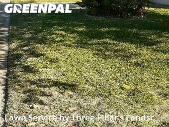 Yard Cutting nearby Dallas, TX, 