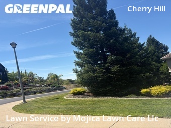 Lawn mowing work completed in Rocklin, CA