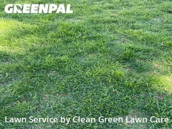 Grass Cut nearby Spokane, WA, 