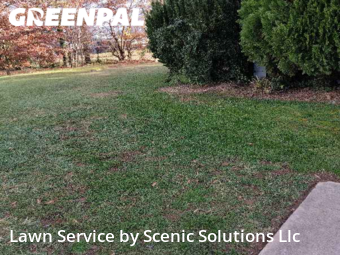 Lawn Service nearby Baltimore, MD, 