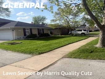 Grass Cut nearby South Holland, IL, 