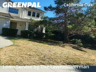 Yard Cutting nearby San Jose, CA, 