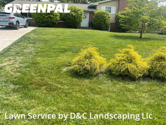 Grass Cut nearby Alexandria, VA, 