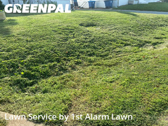 Grass Cutting nearby St. Louis, MO, 