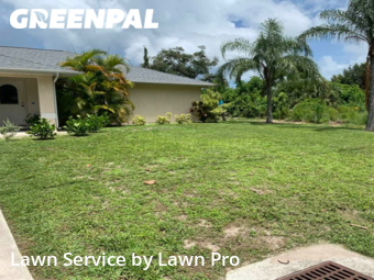 Grass Cut nearby Venice, FL, 