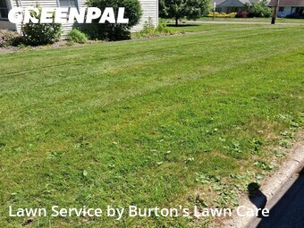 Lawn Care Service nearby Youngstown, PA, 
