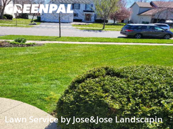 Grass Cut nearby Joliet, IL, 