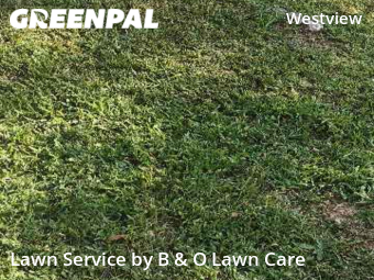 Grass Cutting nearby Atlanta, GA, 