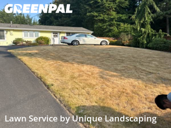 Weed Trimming in Edmonds, 98026, Garden Trimming by Quality Landscaping, work completed in Nov , 2025