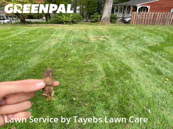 Lawn Service nearby Richmond, VA, 
