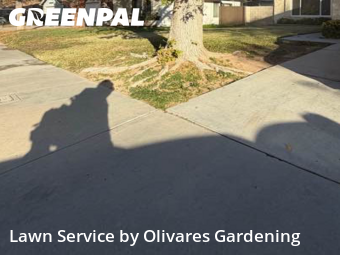 Work completed by lawn-mowing-quotes-in-Palmdale-CA