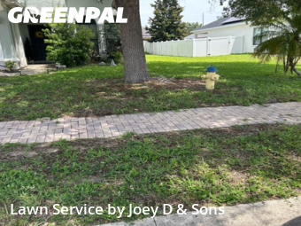 Yard Mowing nearby Lake Alfred, FL, 