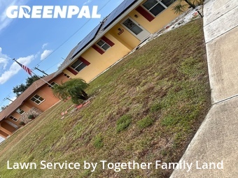 Grass Cutting nearby Port Charlotte, FL, 