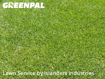 Lawn Mowing Service nearby Baton Rouge, LA, 