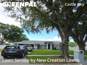 Lawn Cut nearby Valrico, FL, 