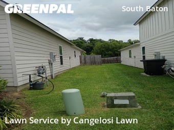 Grass Cut nearby Baton Rouge, LA, 