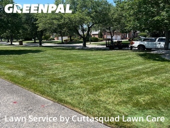 Grass Cutting nearby Virginia Beach, VA, 