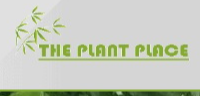 Best Nursery in Wilmington North Carolina 2