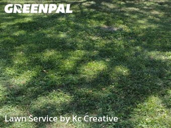 Lawn Care Service nearby Lee's Summit, MO, 