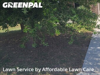 Lawn Cutting nearby New Braunfels, TX, 