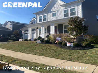 Grass Cutting nearby Stafford, VA, 