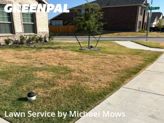 Lawn Mowingin Saginaw,76179,Lawn Cutting by Michael Mows, work completed in Oct , 2025