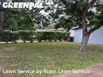 Lawn Mow nearby Edinburg, TX, 