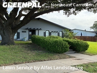 Grass Cut nearby Carrollton, TX, 