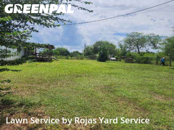 Work completed by local-landscaping-services-in-Santa Rosa-CA