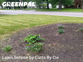 Lawn Cutting nearby Toledo, OH, 
