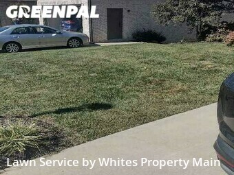Lawn Cut nearby Tennessee, TN, 