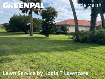 Grass Cutting nearby Jacksonville, FL, 