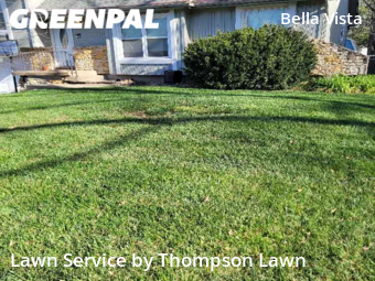 Yard Mowing nearby Olathe, KS, 