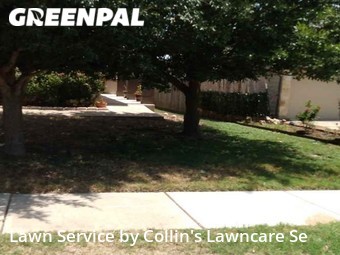 Lawn Mow nearby Del Valle, TX, 