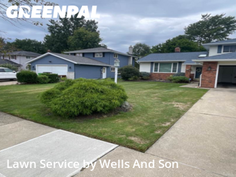 Grass Cutting in Mayfield Heights, 44124, Weed Trimming by Wells And Son, work completed in Nov , 2025
