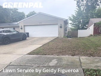Grass Cut nearby Palm Harbor, FL, 