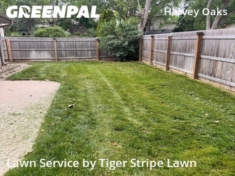 Grass Cut nearby Omaha, NE, 
