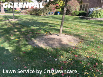 Lawn Care Service nearby Indianapolis, IN, 