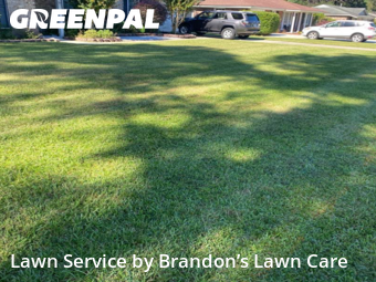 Lawn Care in Savannah, 31419, Yard Grooming by Brandon’s Lawn Care , work completed in Nov , 2025