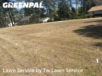 Lawn Maintenance nearby Macon, GA, 