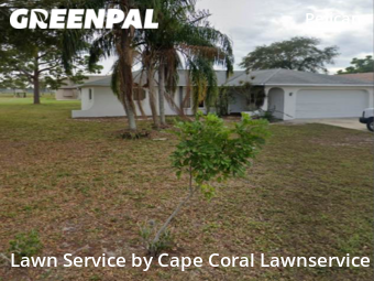 Lawn Cut nearby Cape Coral, FL, 