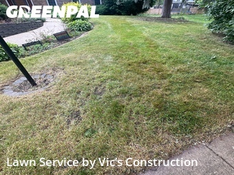 Lawn Cut nearby Lisle, IL, 