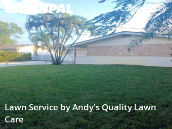 Yard Cutting in St. Petersburg, 33705, Yard Cutting by Andy's Quality Lawn Care, work completed in  7 Jan, 2026 