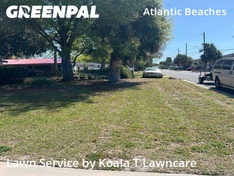 Grass Cut nearby Atlantic Beach, FL, 