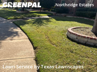 Lawn Mowingin Plano,75024,Lawn Cut by Texas Lawnscapes, work completed in Nov , 2025