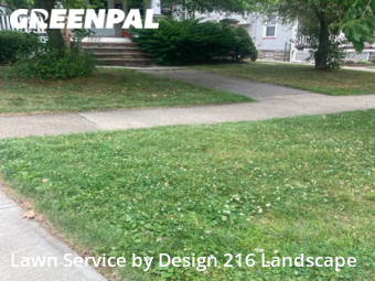 Lawn Maintenance nearby Lakewood, OH, 