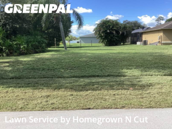 Landscaping Maintenance in Port St. Lucie, 34953, Yard Upkeep by Homegrown N Cut, work completed in Nov , 2025