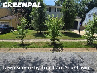 Lawn mowed in Newark, 19711